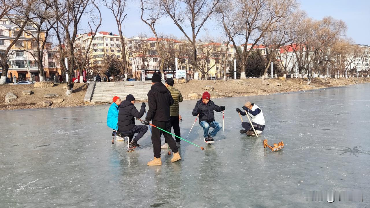 看到这样的场景，我怔住了，一时间竟说不出话来今天是小雪第二天。东北民间谚语云