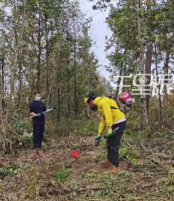 这个贵州男子彻底火了！本是跑步减肥，却突发奇想跑去公园义务割草，结果短短时日竟裂