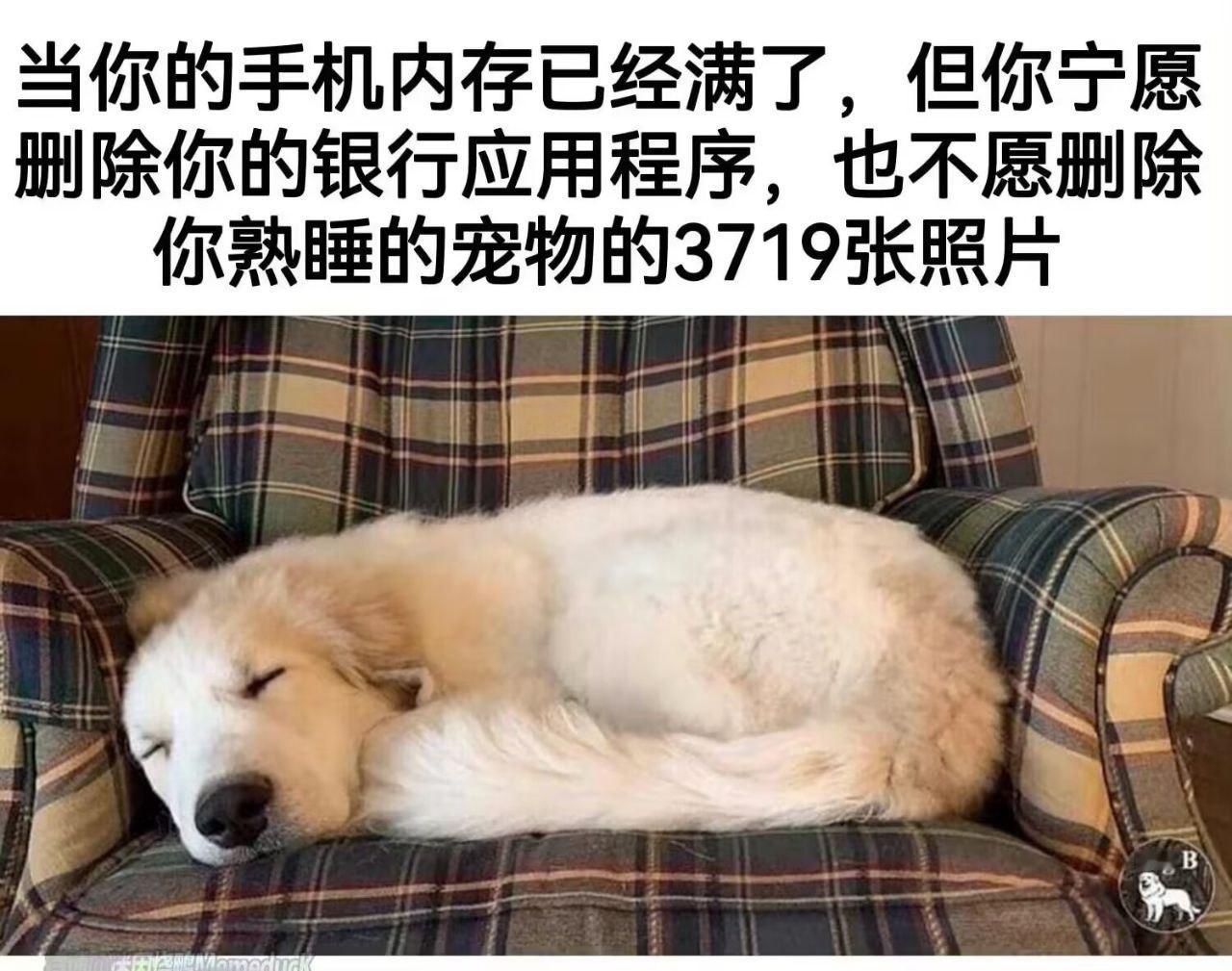 绝对不要