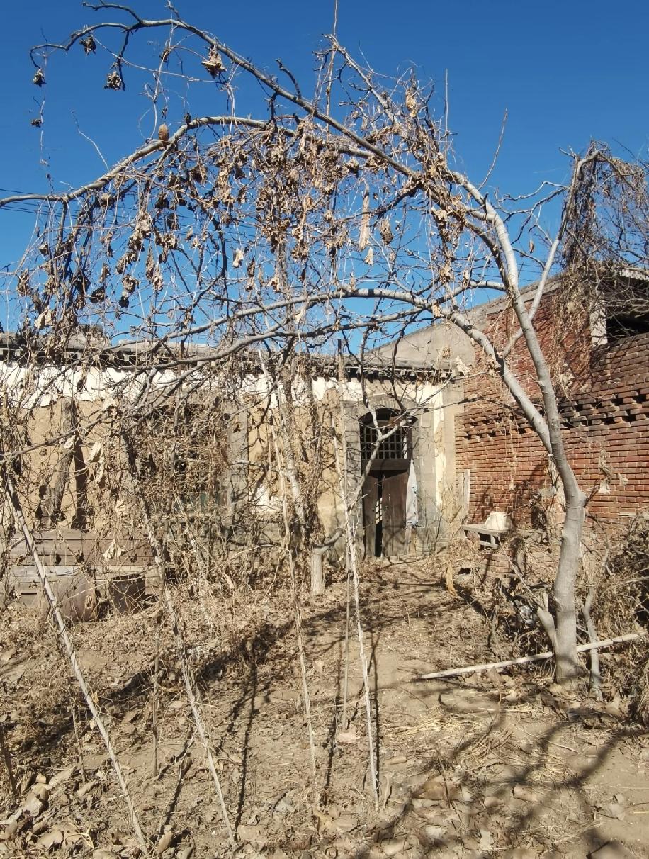 户口没在老家，政策上压根不让盖房子，真的太闹心了！前两年就想把老家院子翻盖下，去