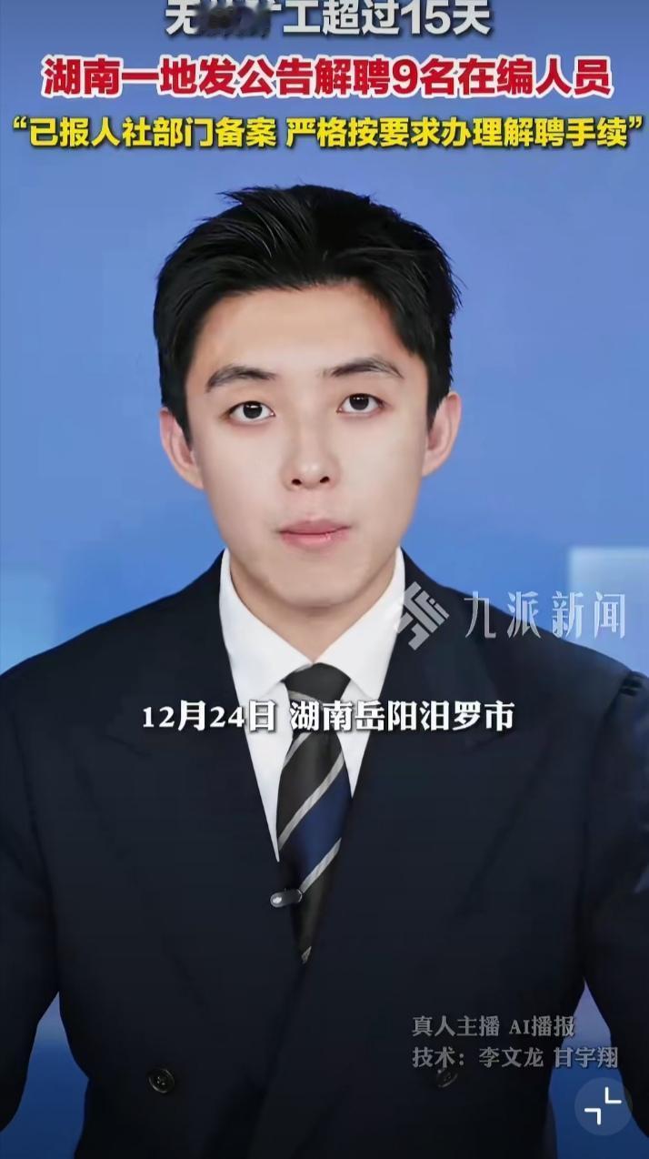 湖南汨罗市弼时镇人民政府，于2025年12月24日发布公告称，9名在编人员，因违