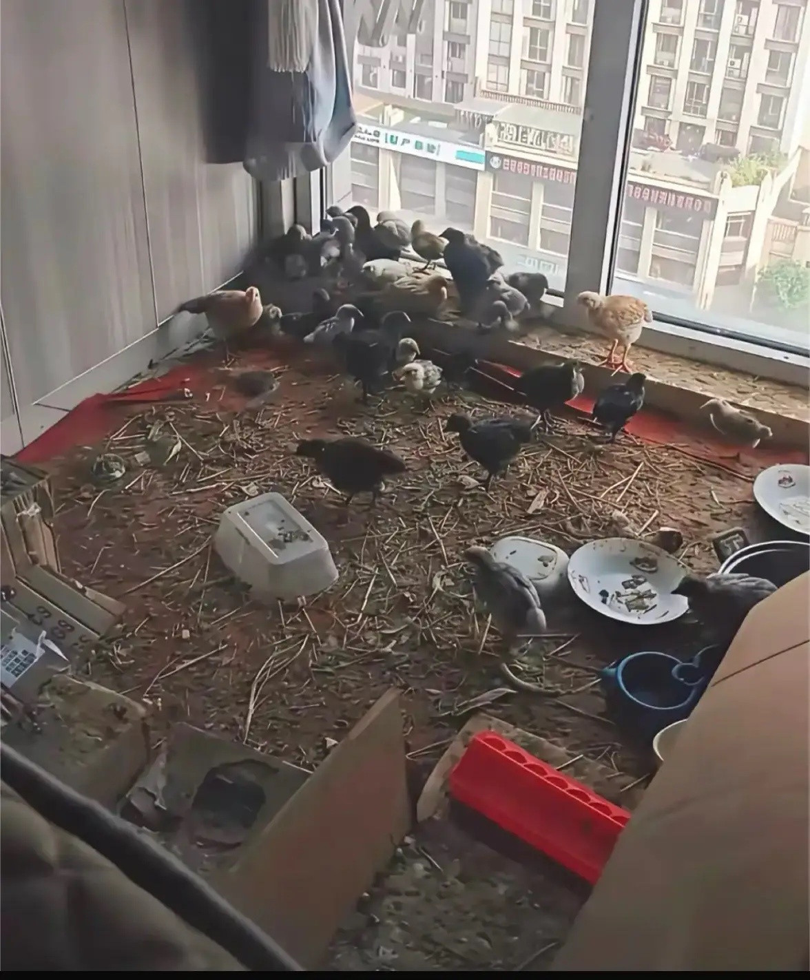 遇上这样租客，邻居怎么办？