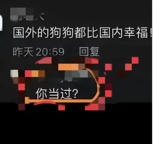 现在的网友真的是太厉害了，不发声还好，一发声，怼到喉咙都堵住！！！？？原本