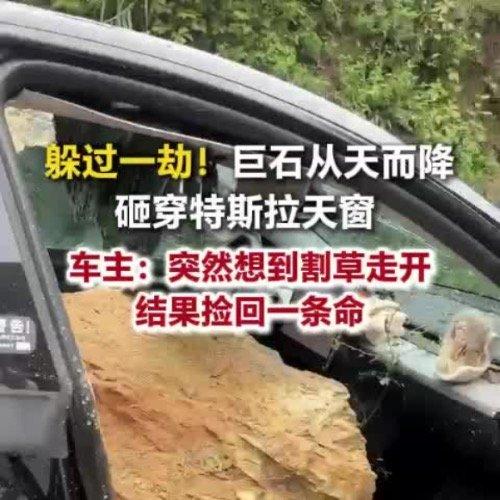 重庆一对情侣在国庆假期回老家休息，原本准备上车午休，却因为一个临时起意的小举动，