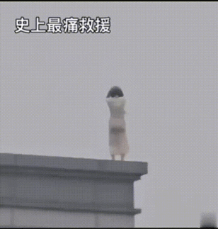 这是有多绝望，又是有多么幸运大家有没有发现，现在的商品房楼层及顶