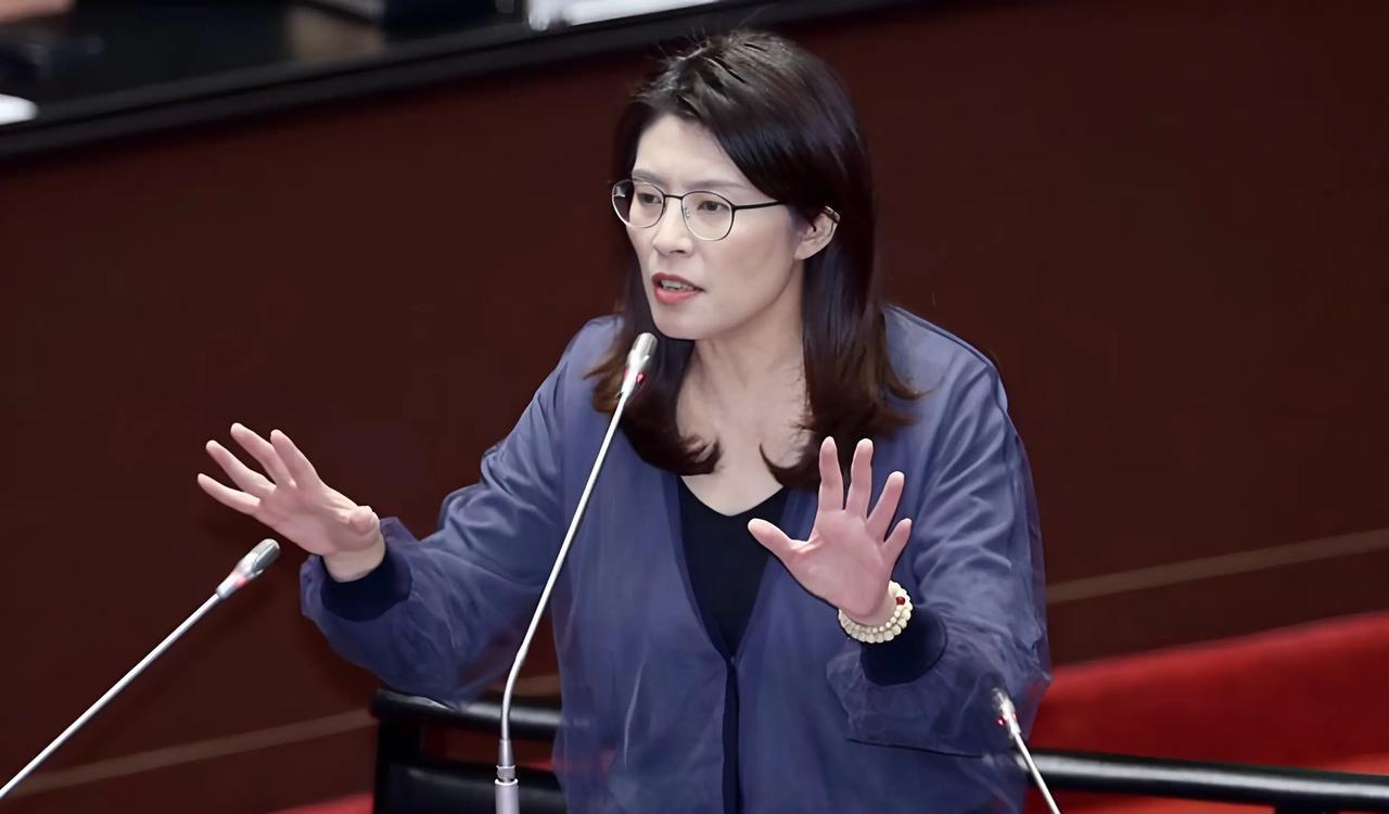 郑丽文的发声太精彩了！9月23日，她在座谈会上强调：不支持台湾防务支出达GDP