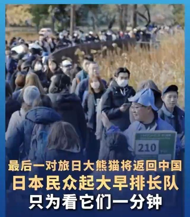 恬不知耻，日本要求台岛赠送大熊猫，“独派”回应“想要就拿走”日本这个国家，对