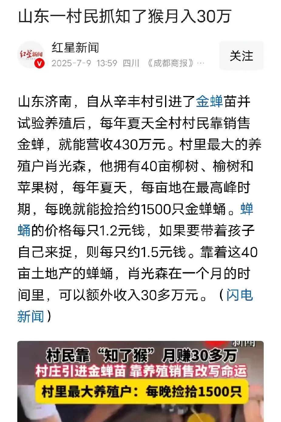 大酒店摆摊一天9万，山东村民抓知了猴月入30万，清华纹眉师月入4万，瓦工年