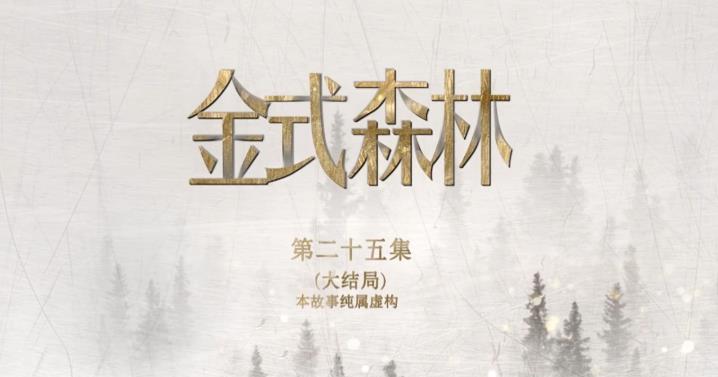 《金式森林》看完大结局，感觉上这部剧就是刻意在捧陈晓华，特别是最后几集，全部故事