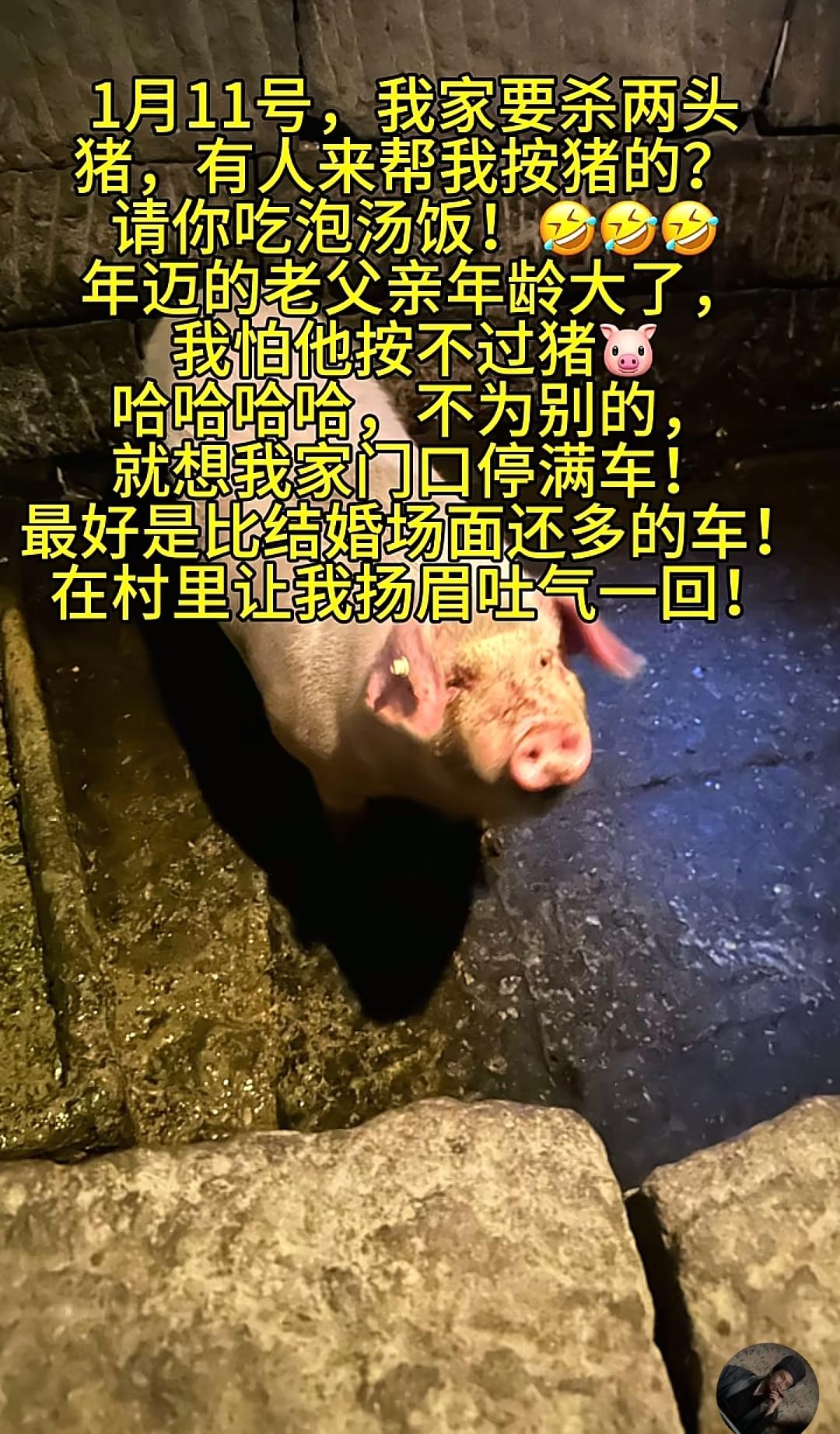 估计现在最懵的人就是重庆喊人按猪博主同村的大爷大妈了，看着那排出去十几里地的车