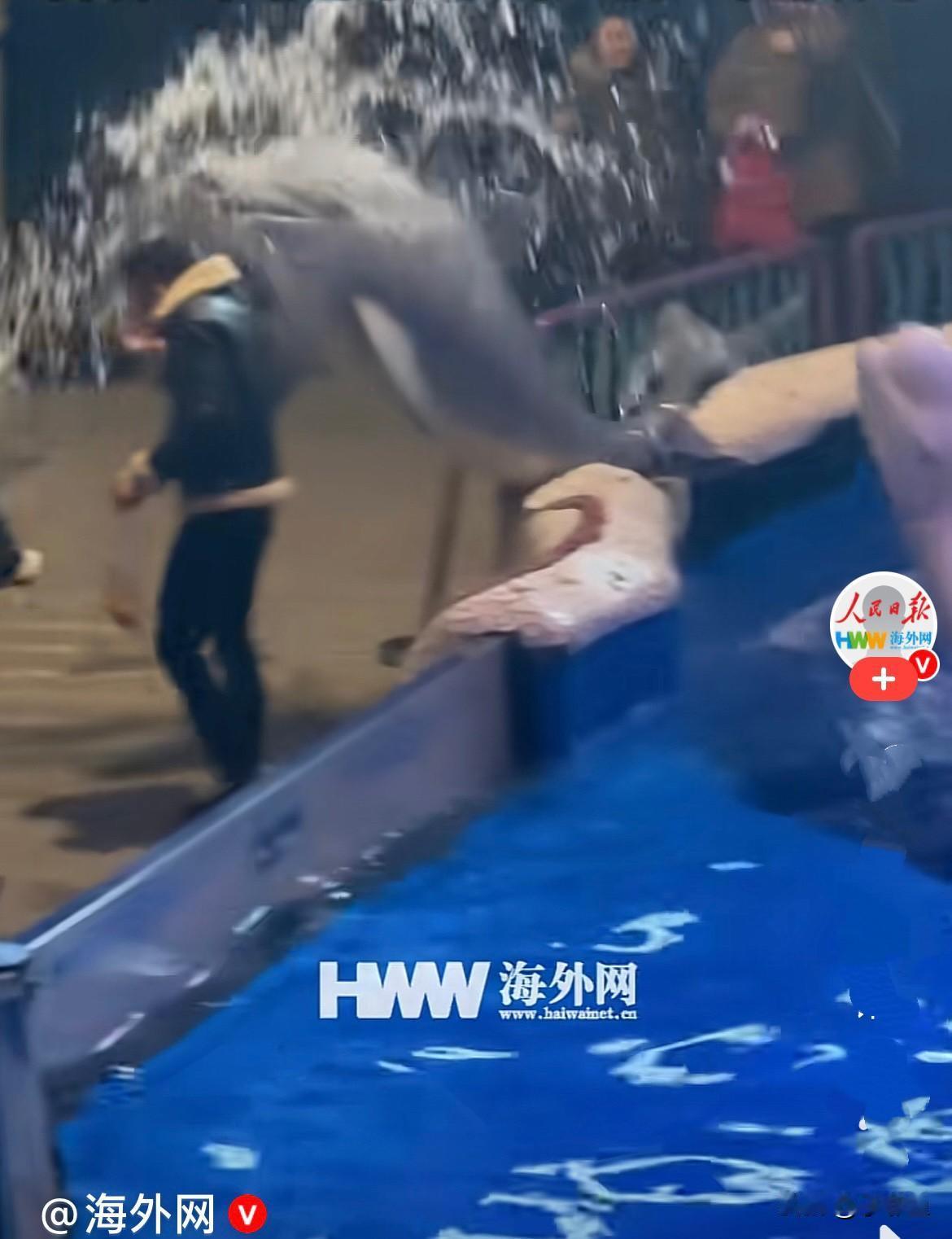 近日，辽宁大连一海洋馆内，一男子站在白鲸模型下吸烟，工作人员走过来告诉他不要吸烟