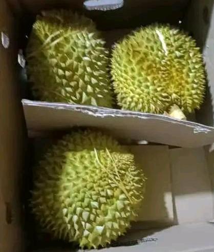 邻居很少买衣服，一件衣服穿五六年，但是，每次去她家，家里喝咖啡，吃榴莲，车厘子、