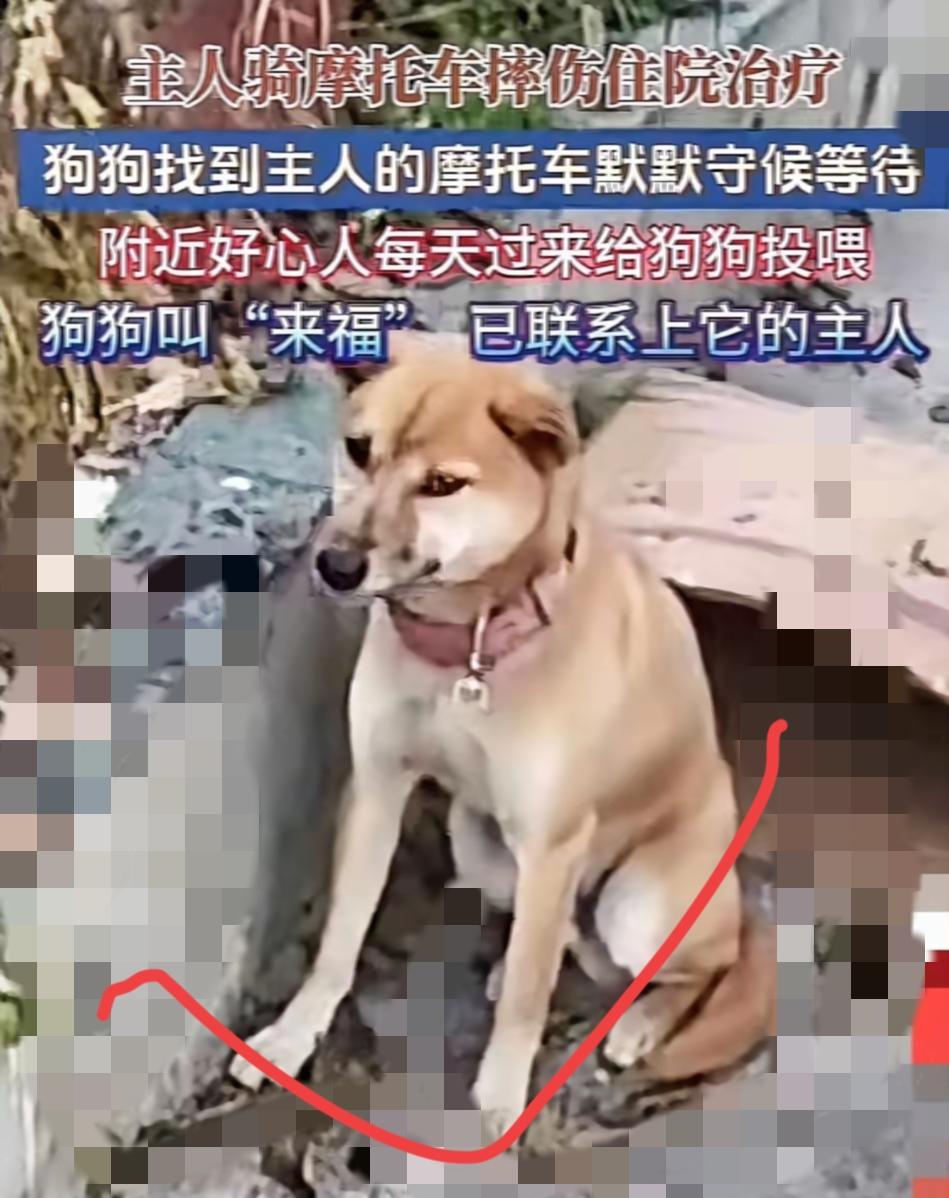 你有没有过那种，突然被一个小生命的“轴”戳中心口的时刻？就比如
