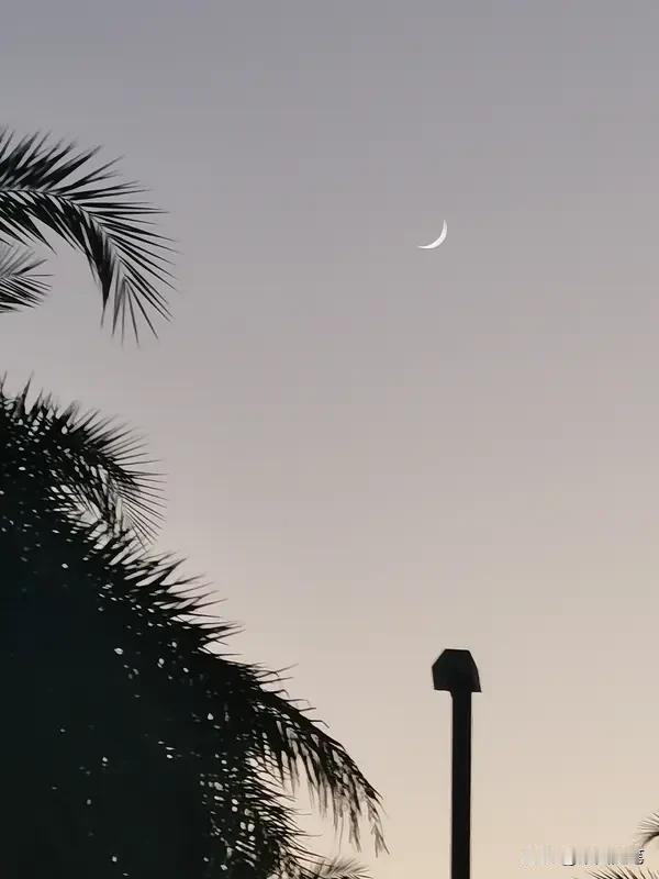 每天早晨起来，说三遍“越来越好”，是会没运的。别不信。最奇妙的是，这种“越来越