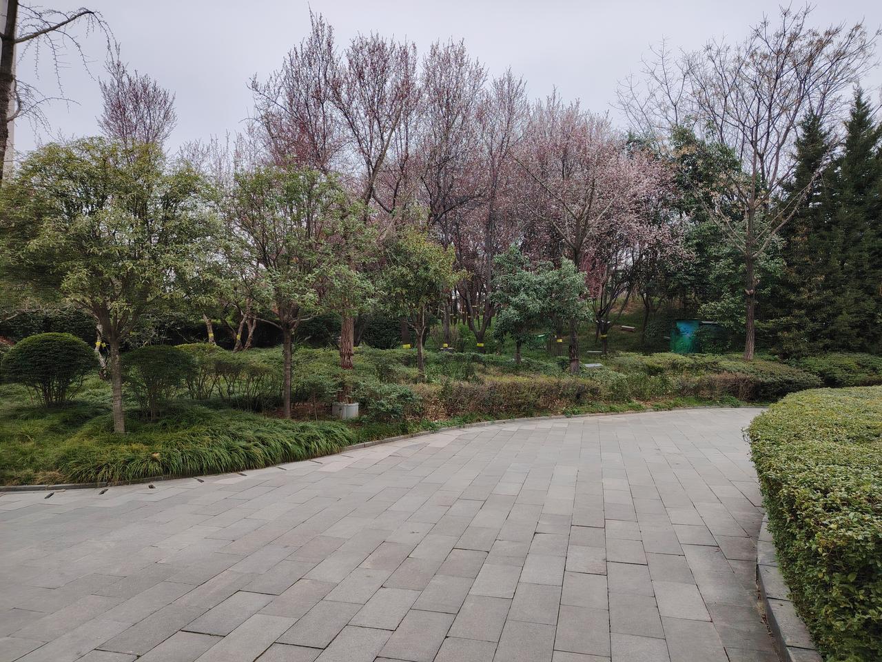 校长必戒！远离三种致命思维，学校才能办出活力与正气教育管理的核心，从来不是过度