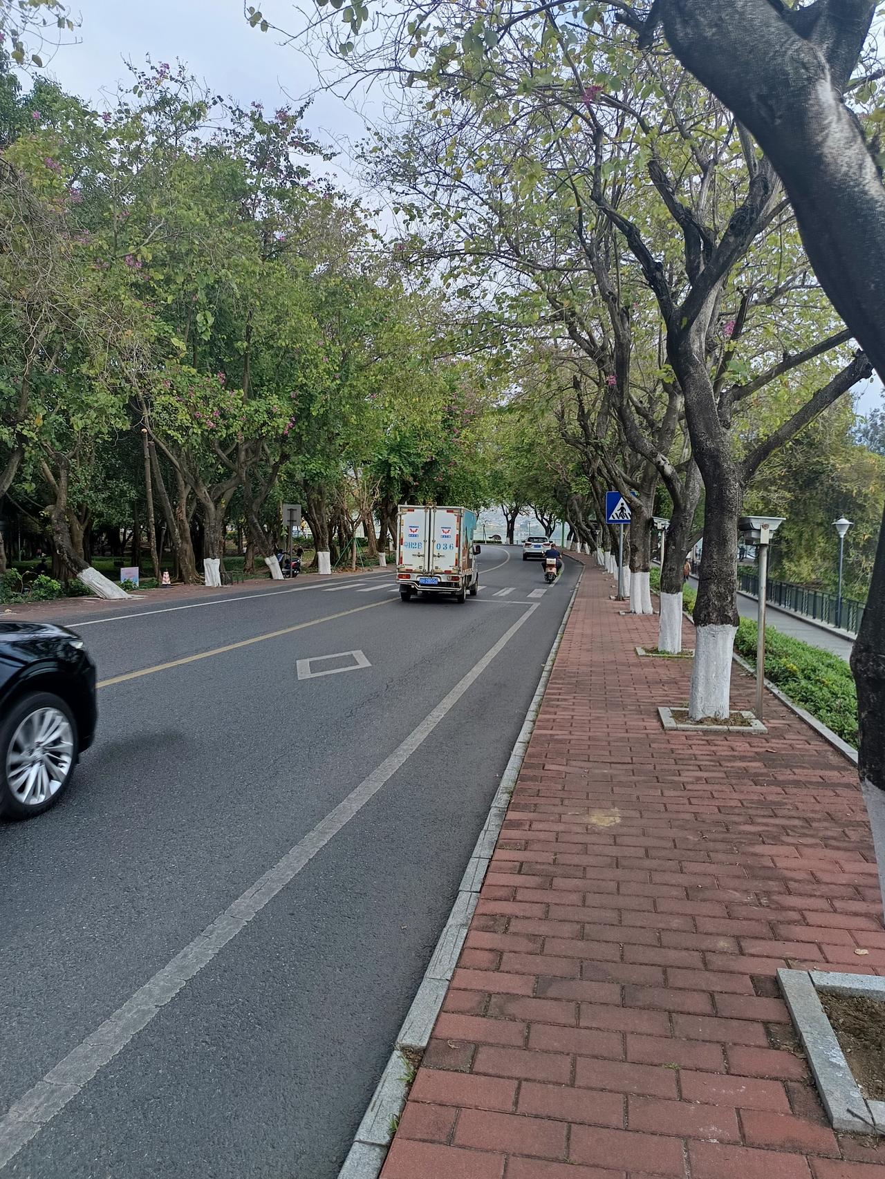 我终于知道了为什么肇庆能有两个5a级风景区却依然好像没有什么人来旅游