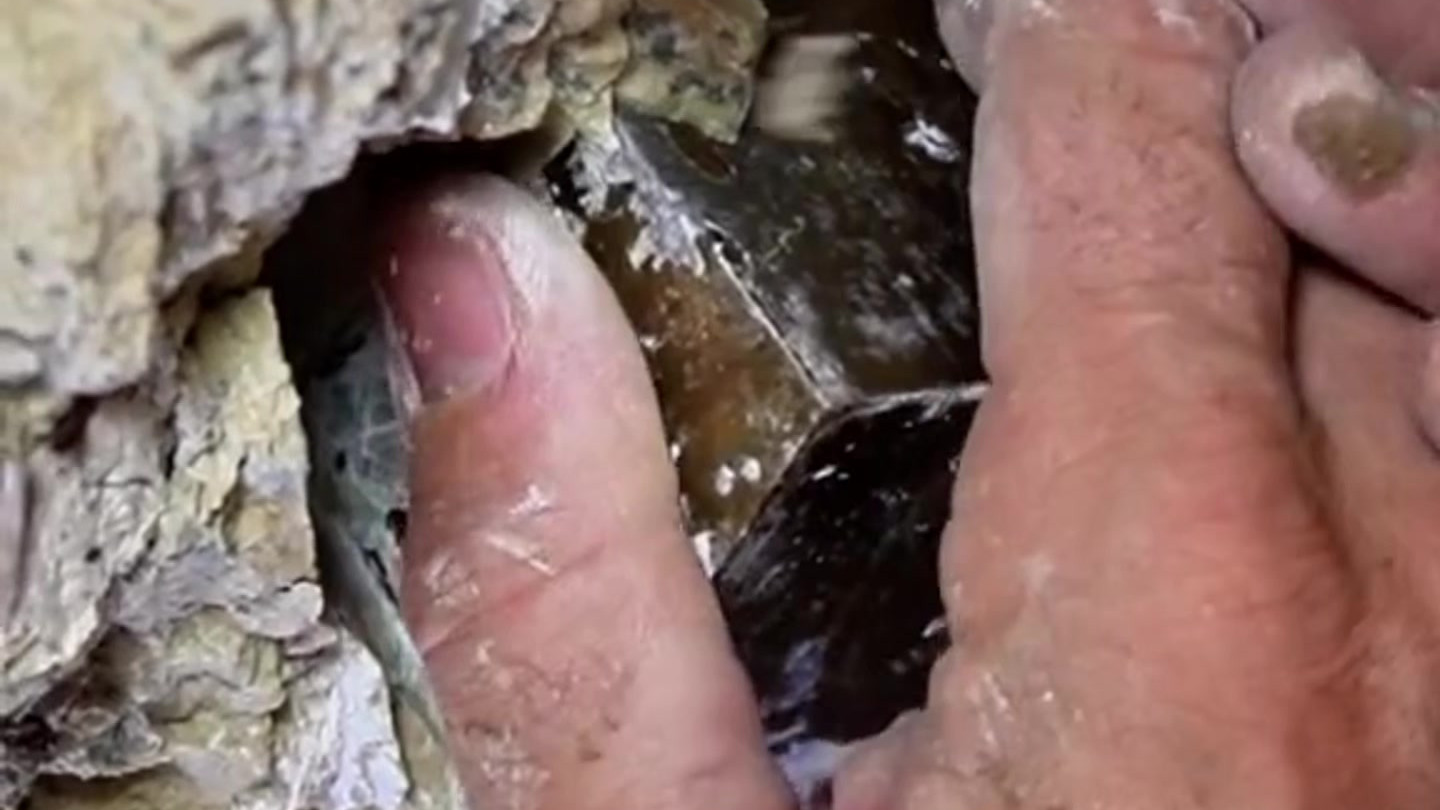 方正黄铁矿震撼亮相!网友惊叹:自然界的几何奇迹