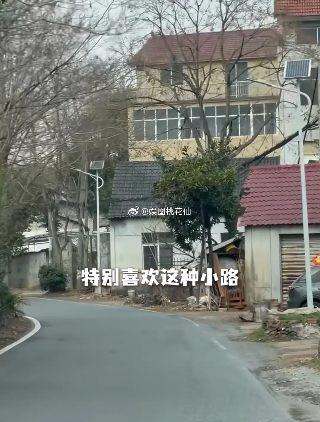 51岁周迅回老家衢州探亲，下乡摘农家蔬菜，个子不高但干活很麻利