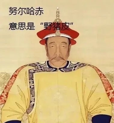 满人取名很粗糙1.努尔哈赤：意思是“野猪皮”2.舒尔哈齐：意思是“小野猪