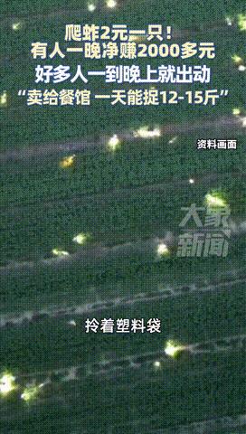 “和捡钱有什么区别！”浙江，男子半夜睡觉被“知了猴”吵醒，一怒之下起来自制工具，