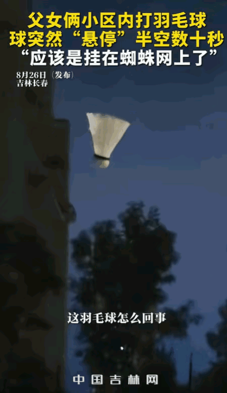 说出来你可能不信，羽毛球飞到半空中，居然硬生生停住了，整整三十秒没落地！这事儿就