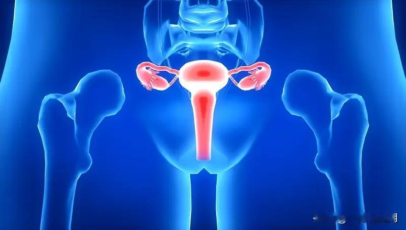 11月13日，安徽阜阳市中级人民法院公布二审判决书驳回双方上诉请求维持原判