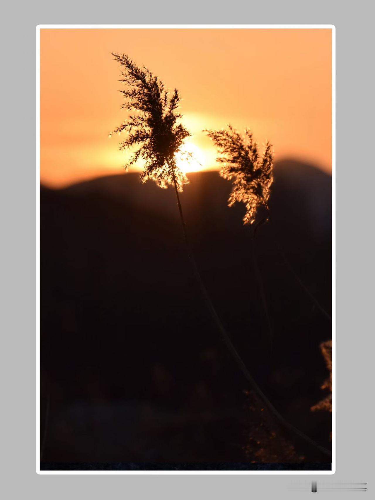 成长的过程，本质上就是一个不断解决难题的过程。很多事情，看起来很难，但在每