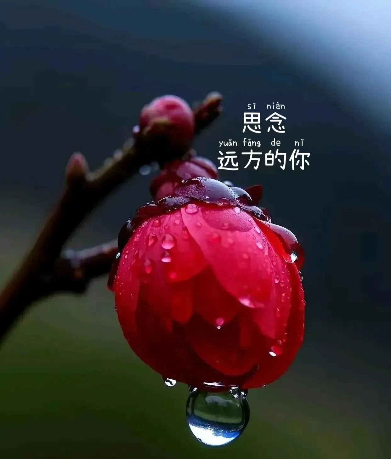 你知道吗如果你一直思念一个人你们有一天终究会见面的心灵感应真的存在当有