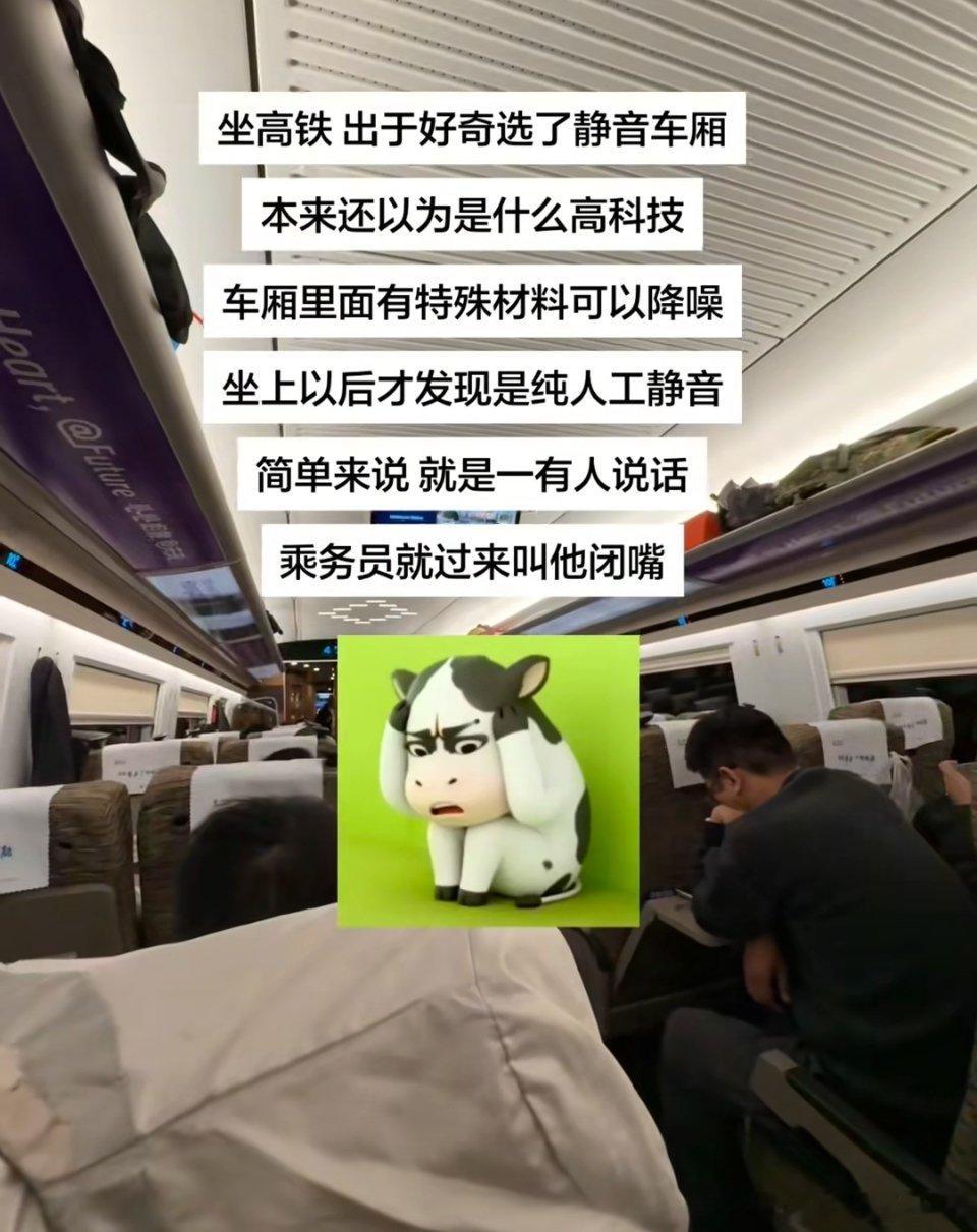 🔻我以为是静音车厢，原来是关音菩萨。静音车厢不是只让乘客静音