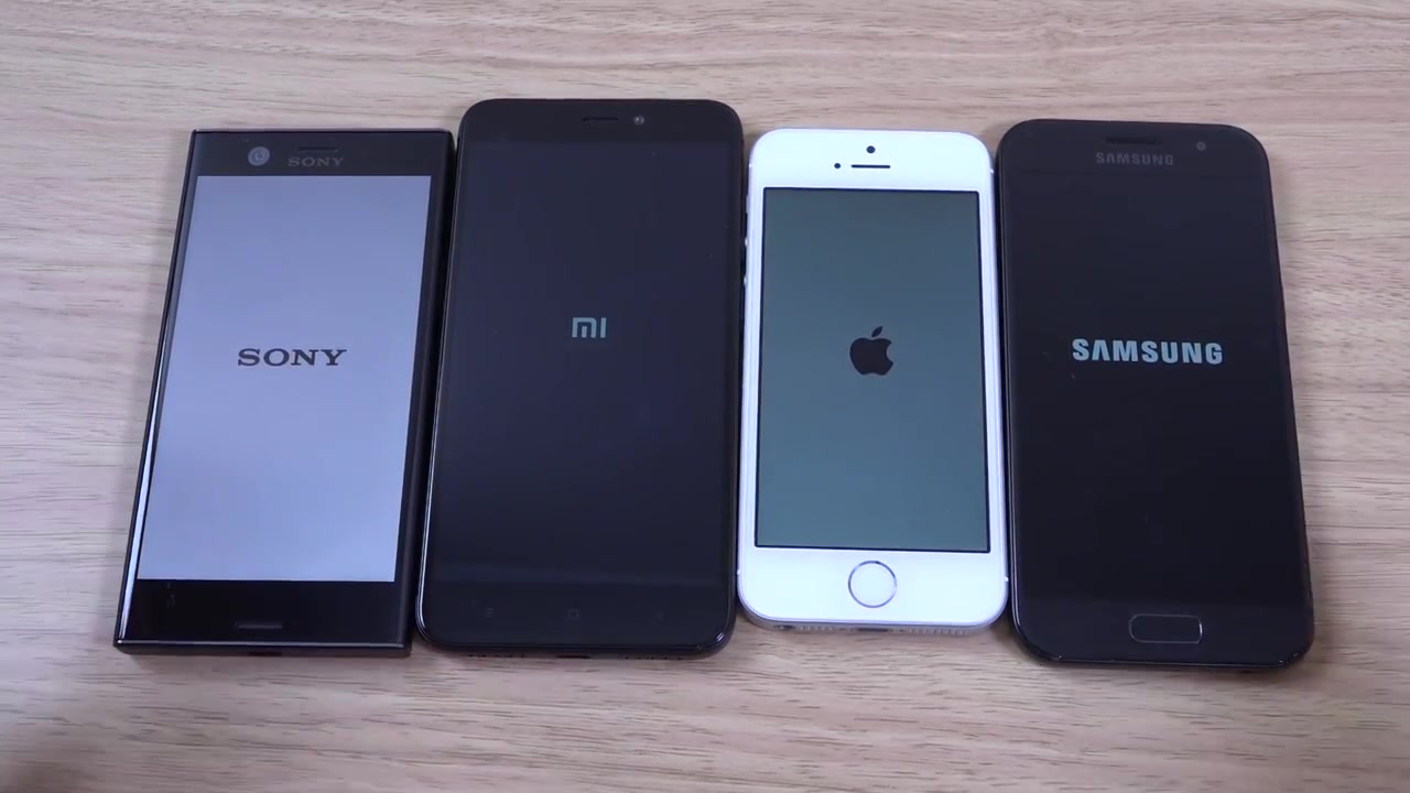 [王立生物科技] 卡特兰 C.Luttata (C.luteola x C.