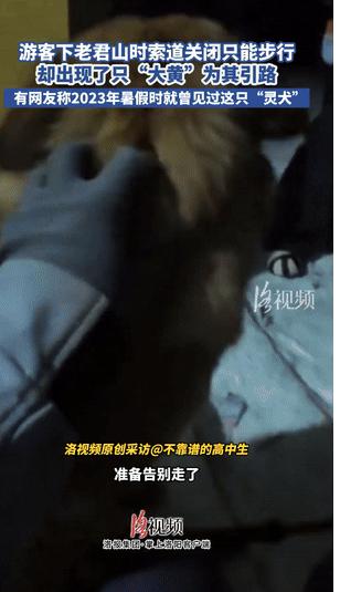 太神奇了！河南老君山上一位陈姓游客因错过末班索道，被困山中。正当他和朋友在黑暗中