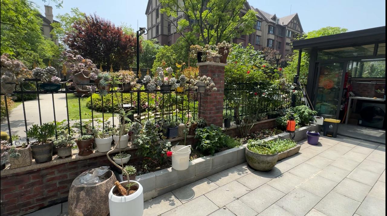 七层的小洋房一楼可以买吗买一楼一般都是图有个院子，如果想买一楼就要买这种楼层低，