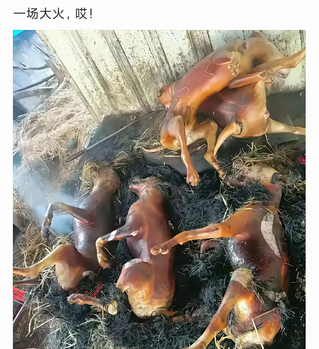 这火候掌握的，大厨👨‍🍳无疑了