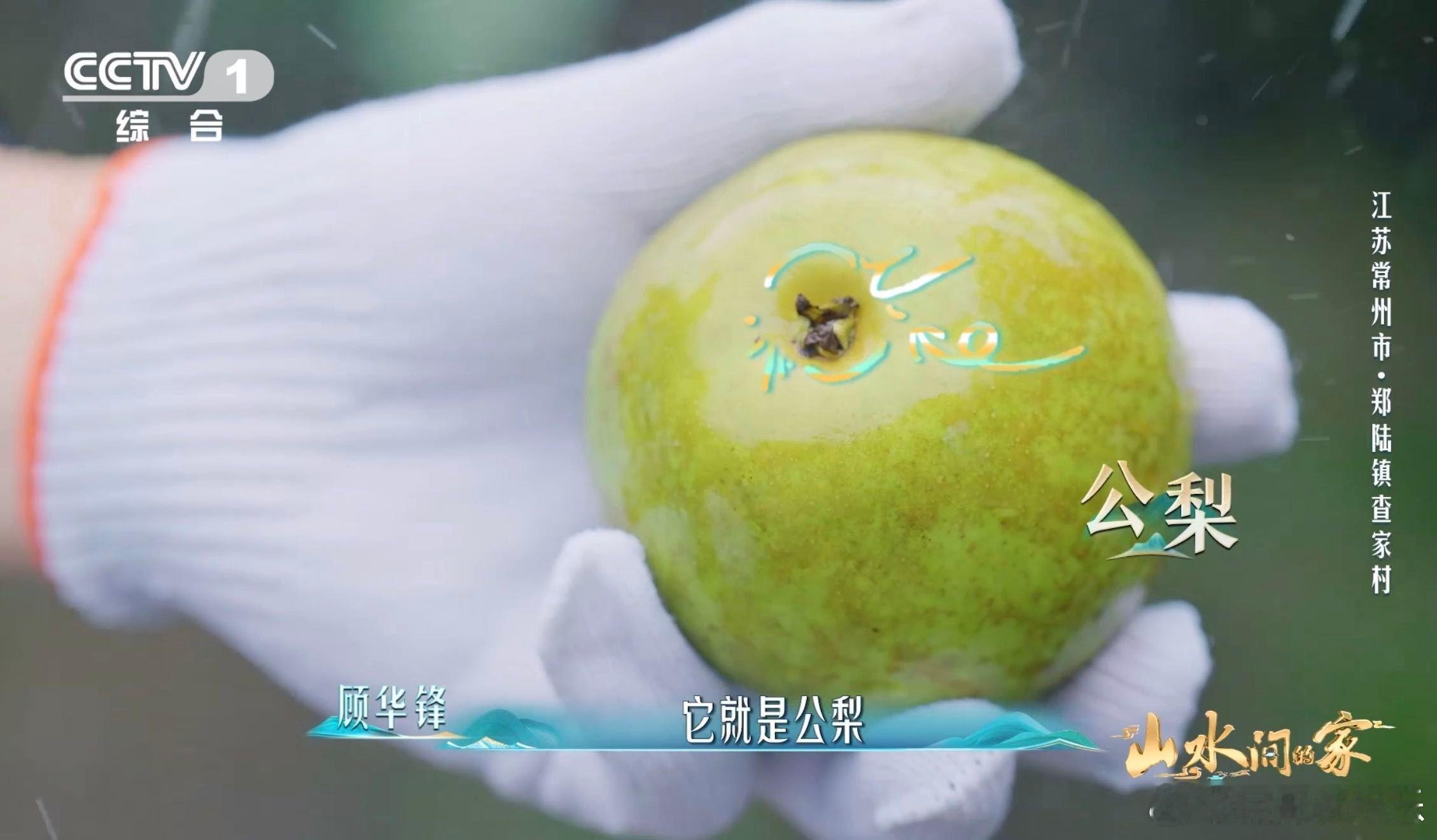 哪个梨更甜看底部逛菜场时摊主教我看梨底辨甜，说这是老经验了！选了几个底部好看的