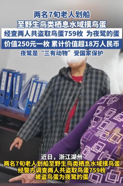 “还敢掏鸟蛋吗！”4月浙江湖州，两位年过七旬的大爷划船到野外水域，摸走了759颗
