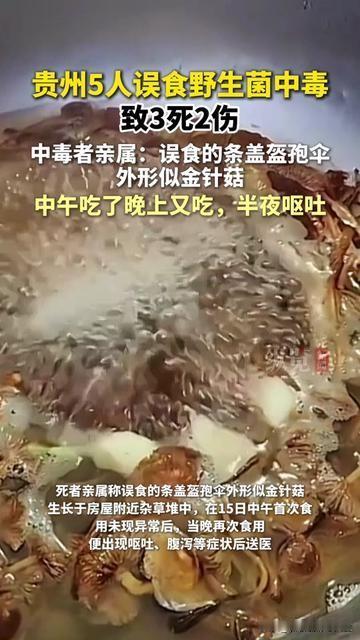 每年夏天朋友圈转烂的野生菌致命清单，怎么还是没拦住这起3死的悲剧？贵州毕