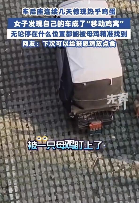 “万物有灵！”11月8日报道，安徽阜阳，一个小区里，居民申女士发现自己电动车的车