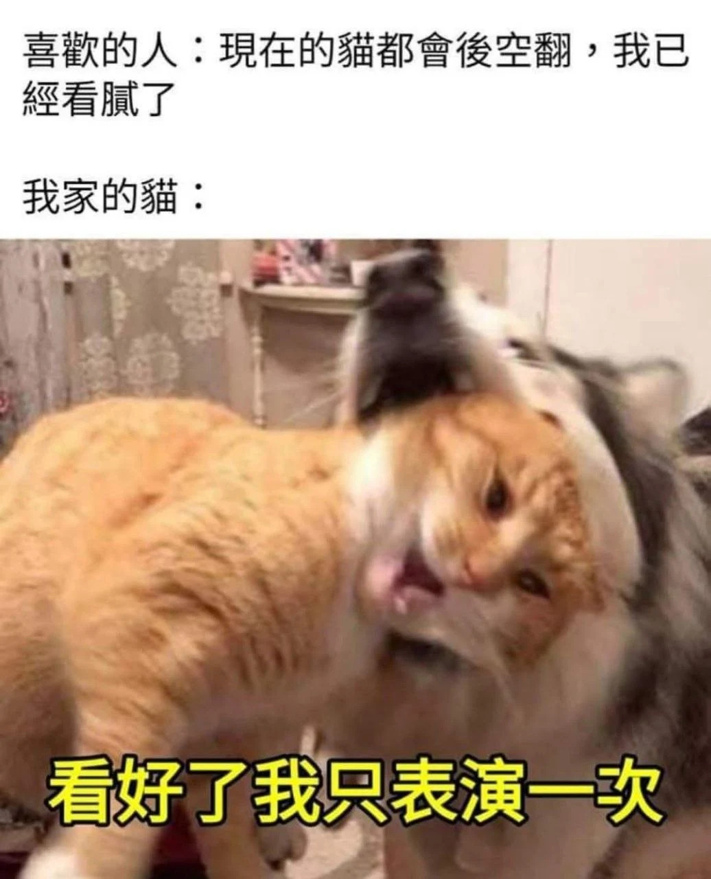 我只表演一次