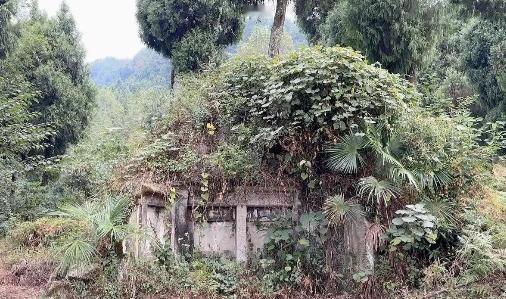 中国土葬几千年，埋了三百亿人，为啥现在看不到古坟？据专家推算，地球上总共出现过大