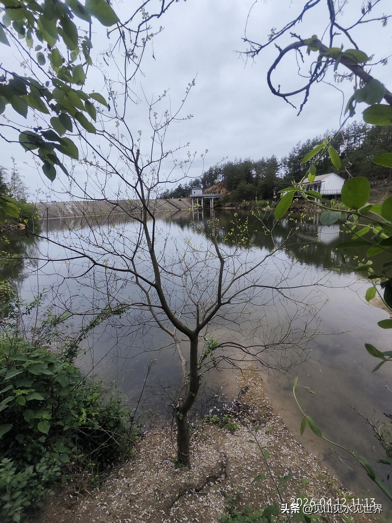 普通人的意义海明威说过一句话，我记了很久。他说人生的意义不在于盛大的烟火或奢