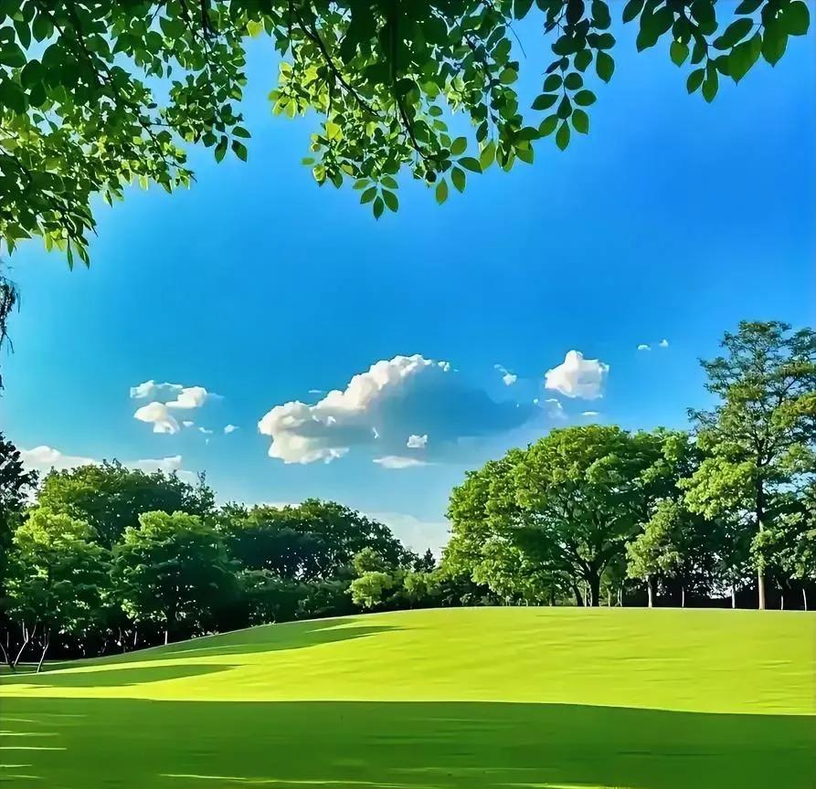 这次降息，很多人都说是为了让老百姓少存钱，多消费，这个理解是不全面的。更准确地