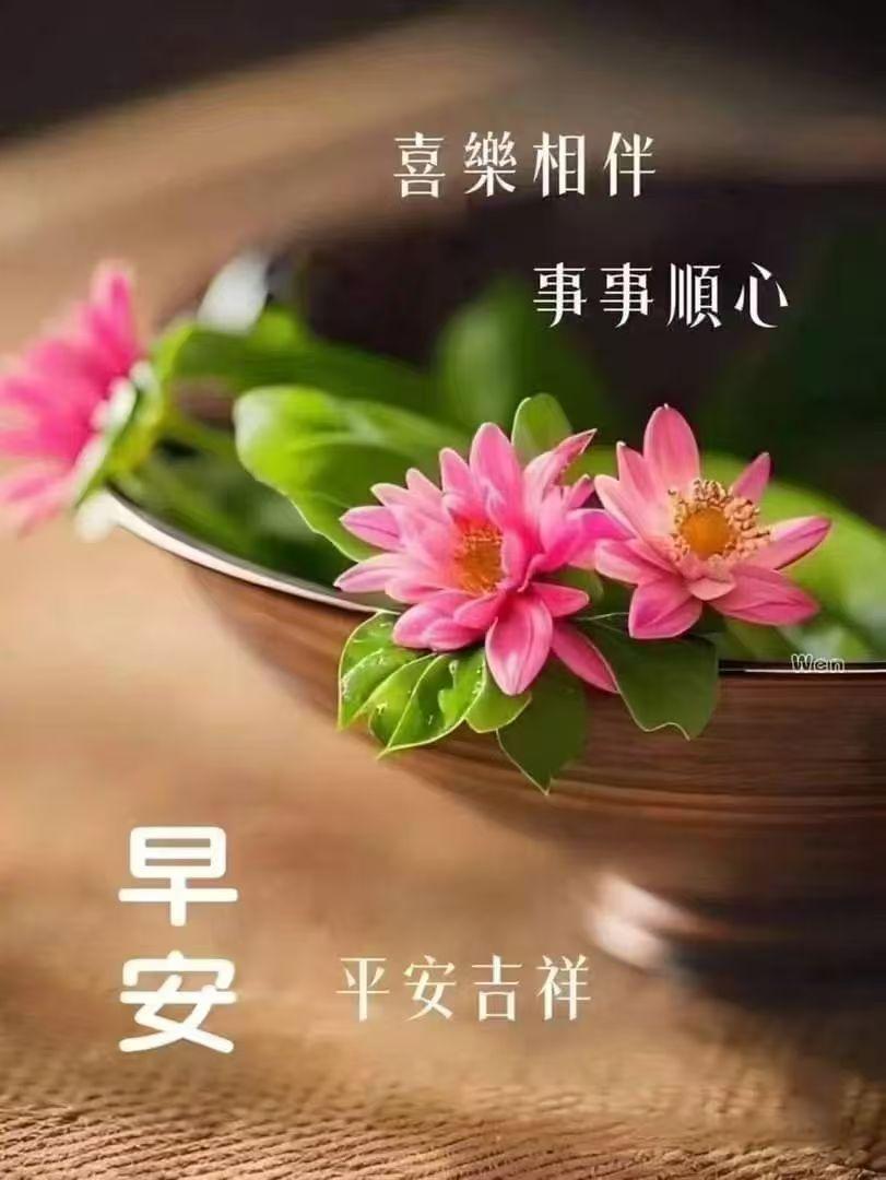 早上醒來空氣新，送去問候暖人心，真誠祝福很溫馨，繁忙不要太勞辛，吉祥如意