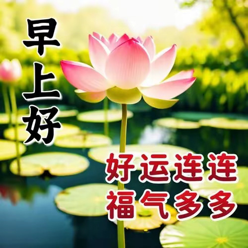 早上好一句简单的“早上好”，便足以温暖彼此心窝；不必借炽热阳光，这份问候已让每日