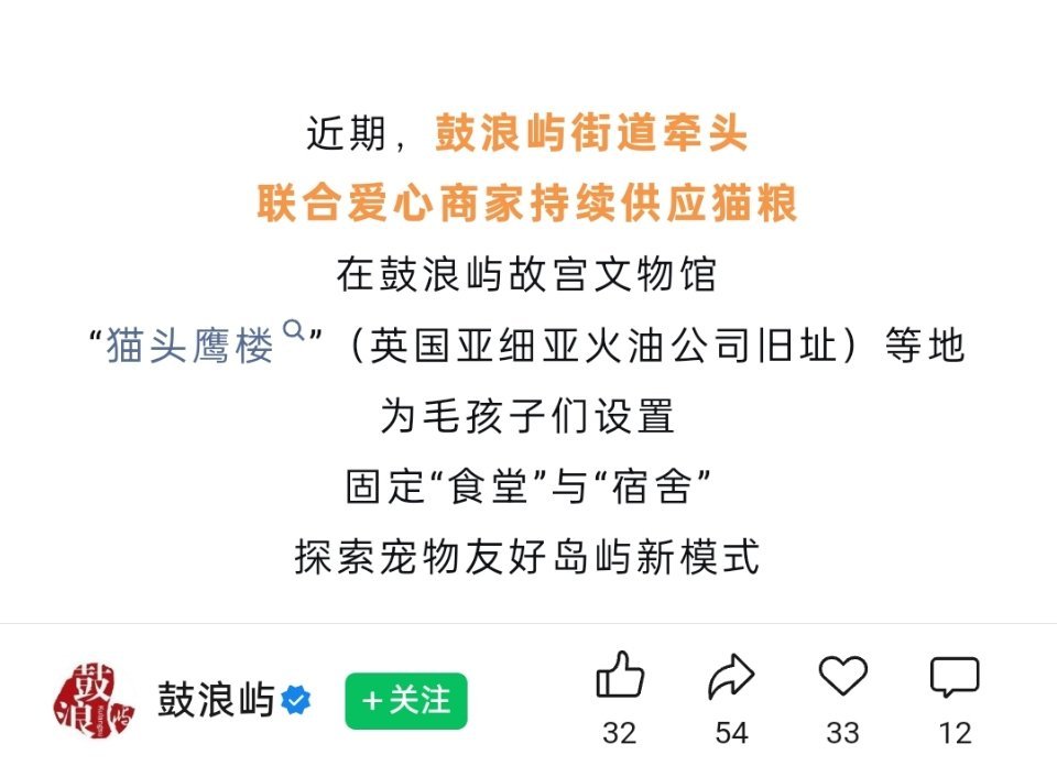 厦门的海鸟怎么办？