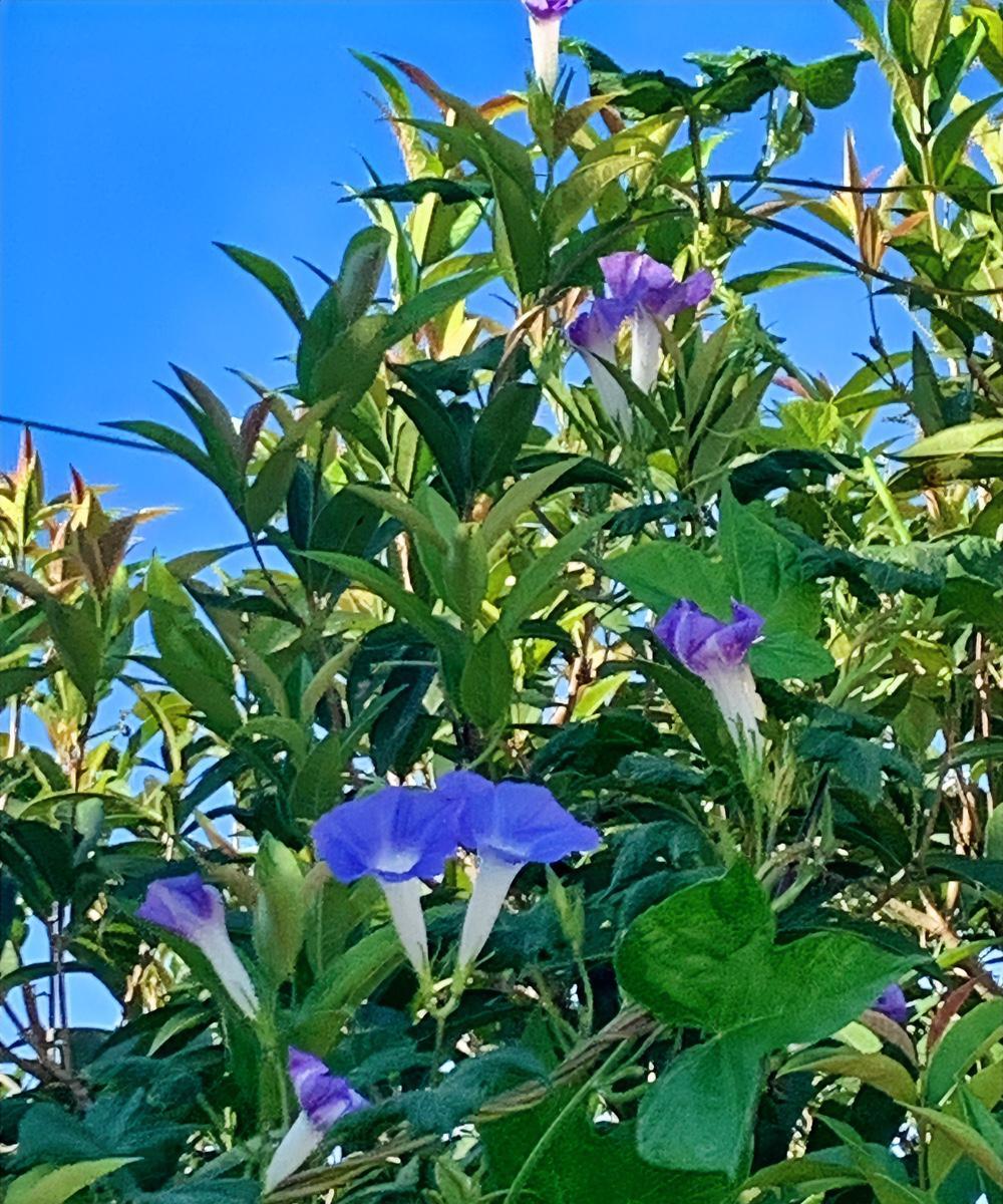 我给儿子花了一百万，也没听到他一句感激的话，反倒是给我妈买了一个银戒指，我妈一顿