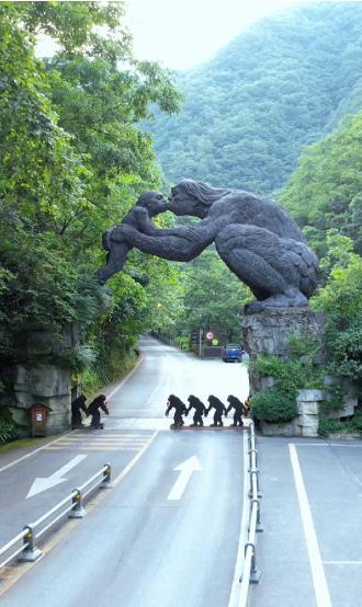 “别看神农架植物多、动物稀罕，但这地儿是禁区，硬闯就是拿命开玩笑！”这话是一位在