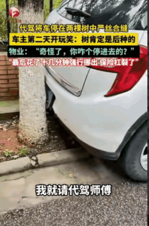 云南昆明，一男子酒后闹了笑话。老小区车位紧张，他请代驾开回小区，瞅见树中间有空位