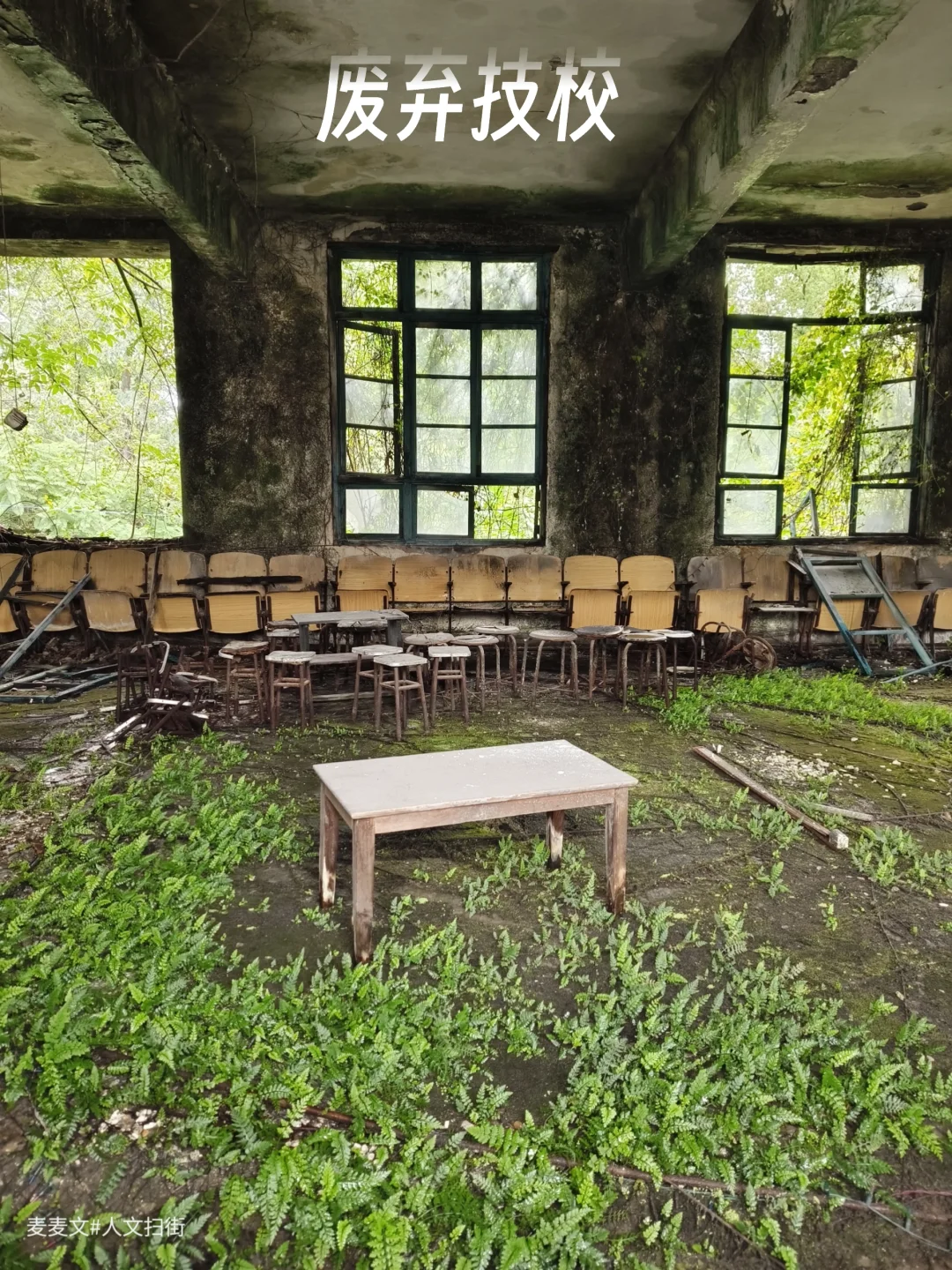 【合川】技校被绿植吞噬，礼堂座椅好整齐