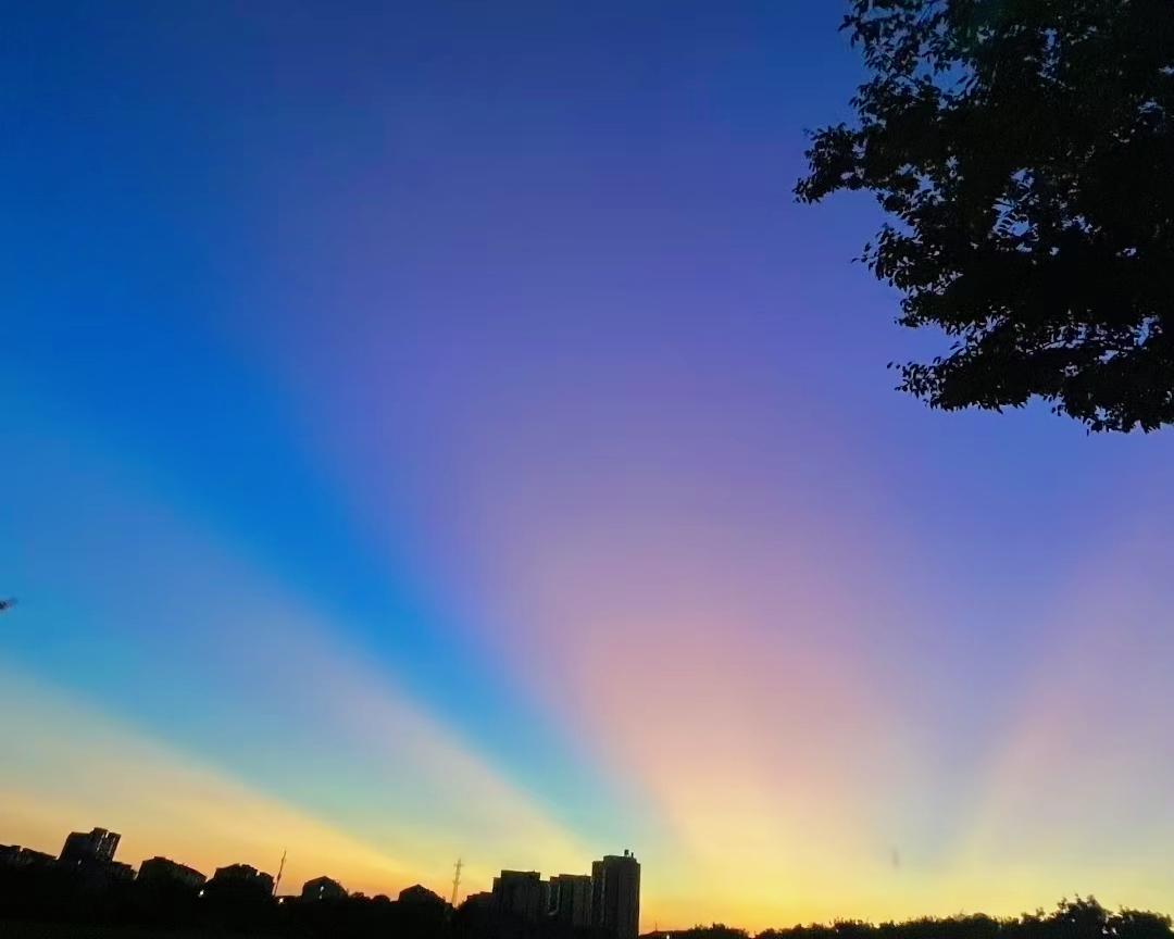 我发现一个冷知识：人生重启成本最小单位是写作往下依次是吃、喝、拉、撒洗澡