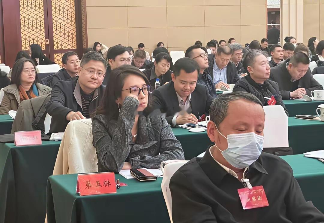 章子怡出席某文联活动，没有浓妆淡抹，看起来很像体制内女强人